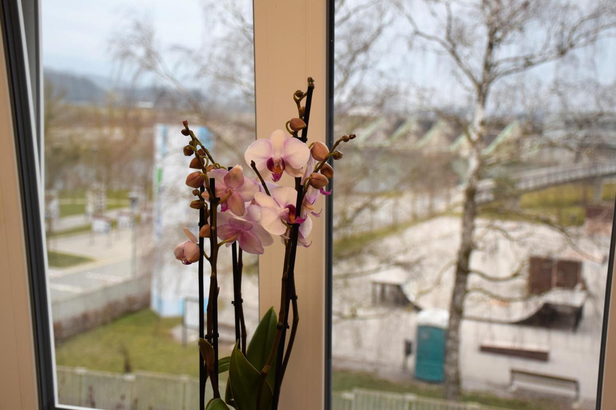 Guesthouse Pr'Sefu Brežice Pokoj fotografie
