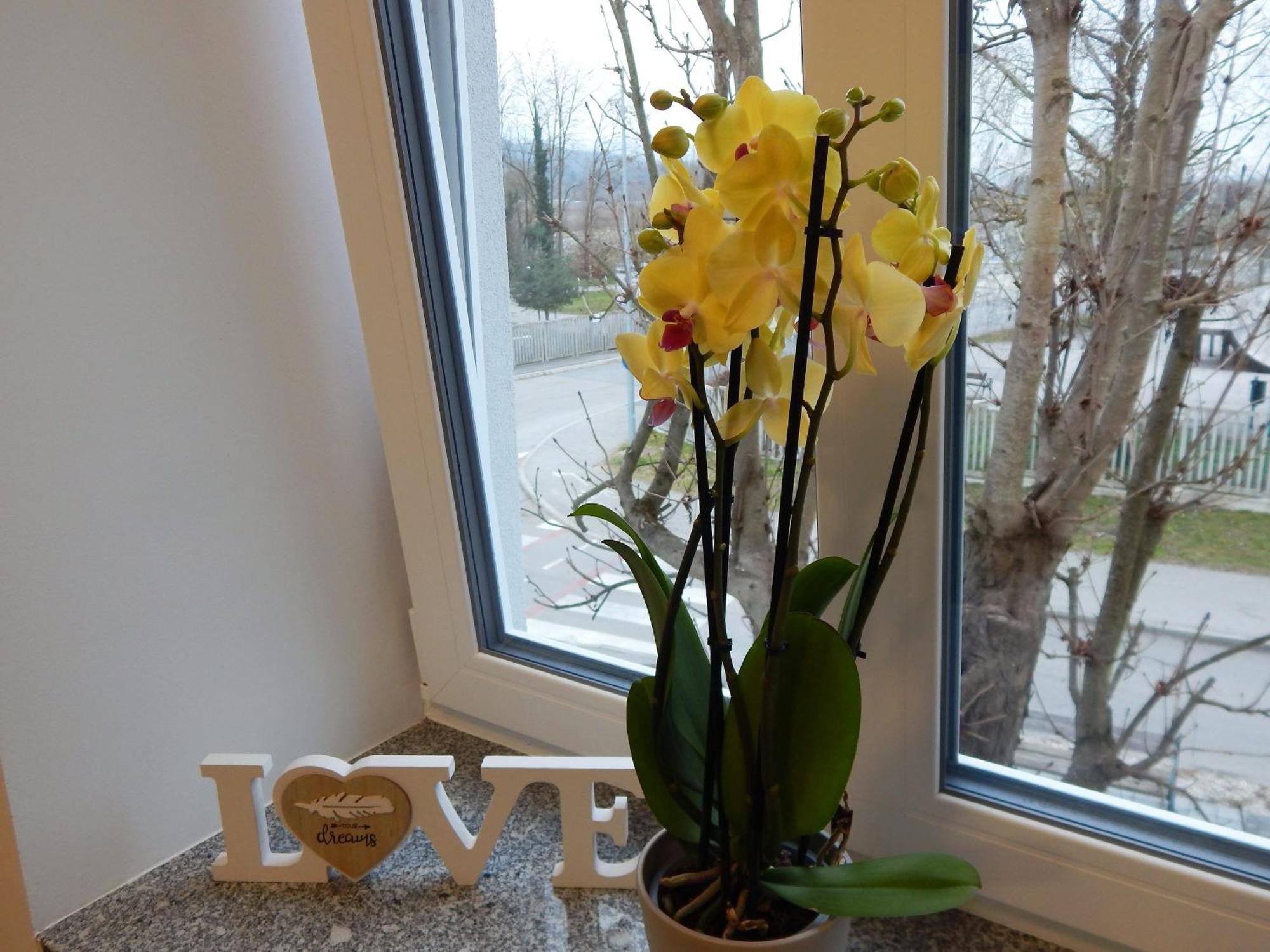 Guesthouse Pr'Sefu Brežice Pokoj fotografie